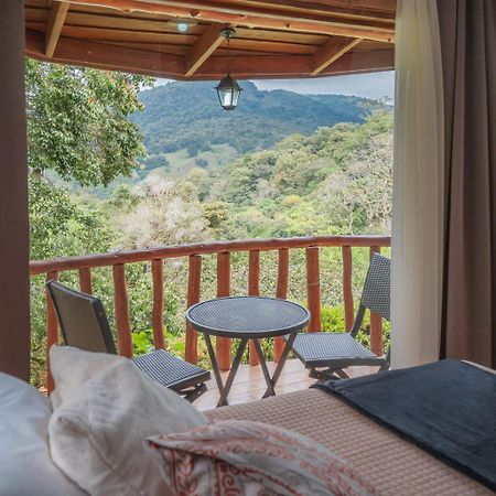 Cedrela Eco-Lodge & Restaurante Copey 외부 사진