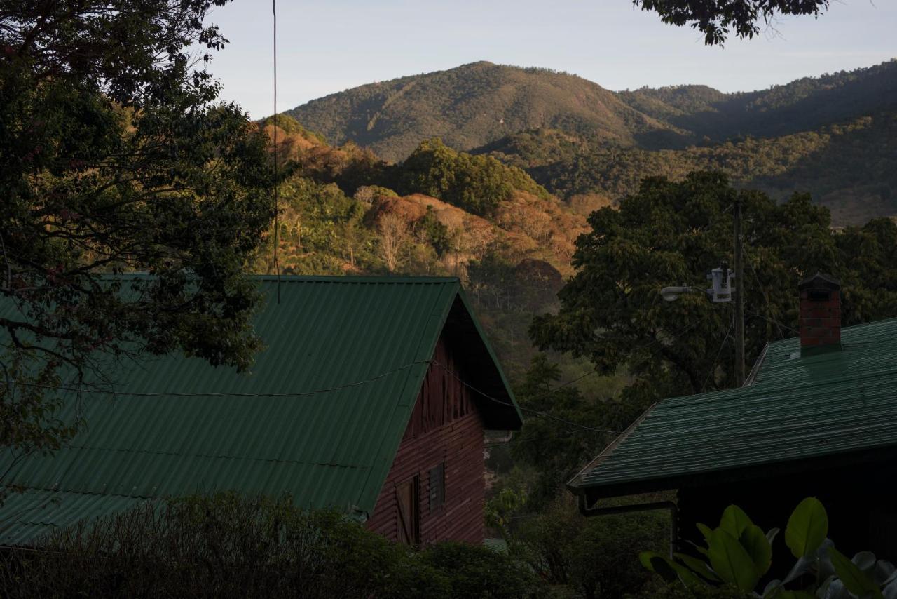Cedrela Eco-Lodge & Restaurante Copey 외부 사진