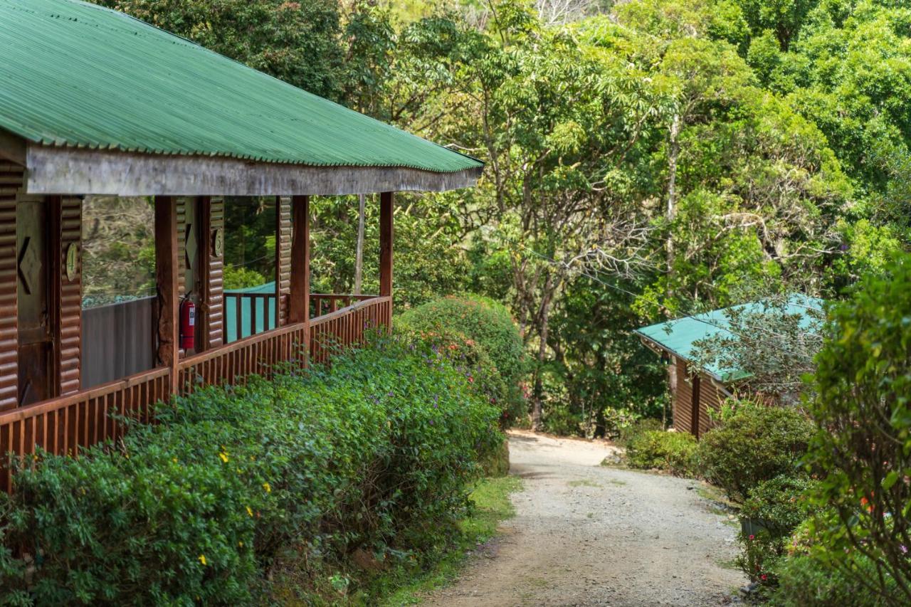 Cedrela Eco-Lodge & Restaurante Copey 외부 사진