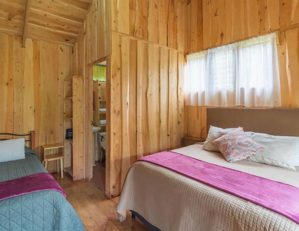Cedrela Eco-Lodge & Restaurante Copey 외부 사진