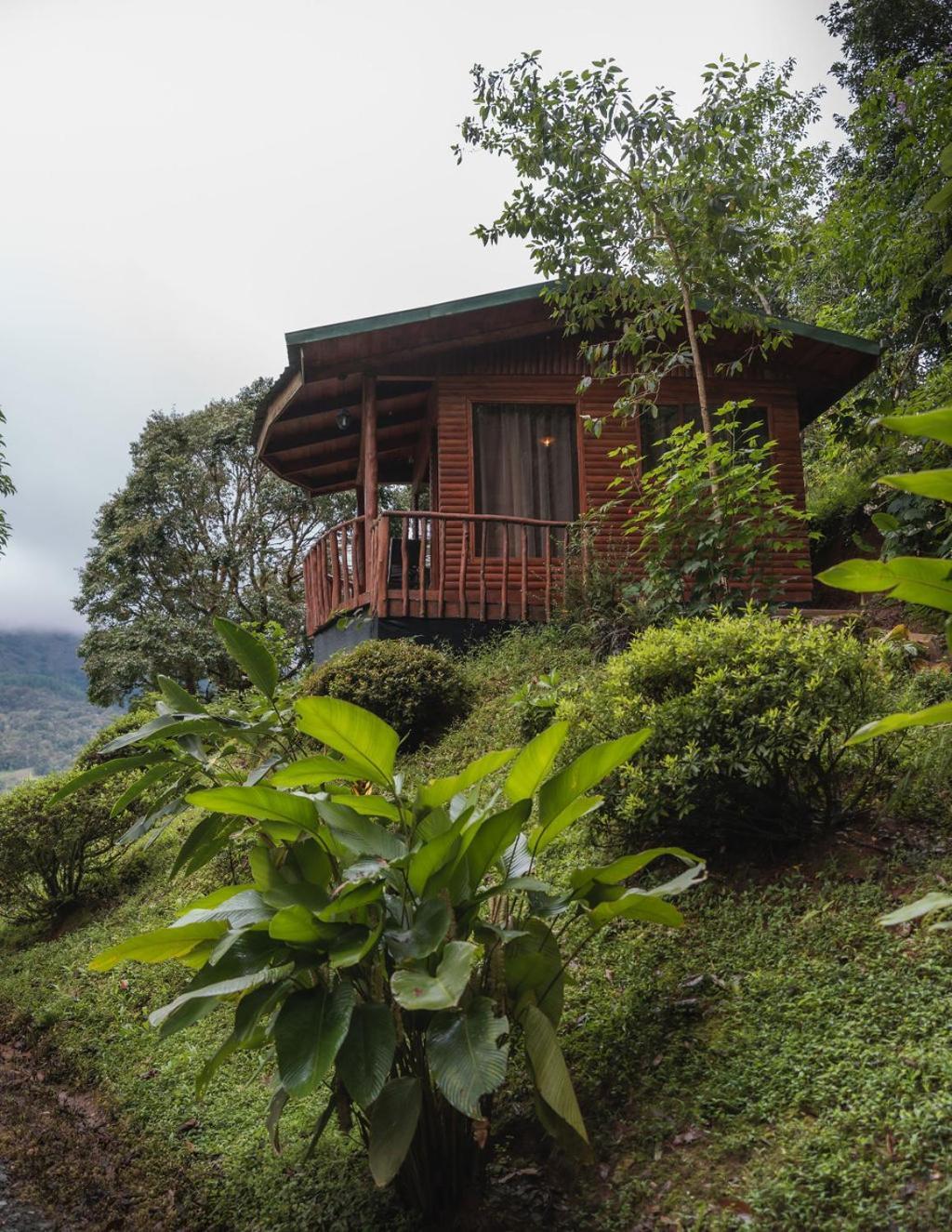 Cedrela Eco-Lodge & Restaurante Copey 외부 사진