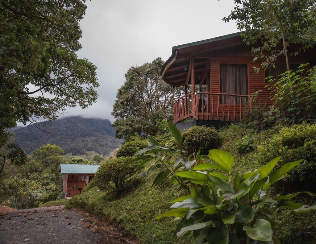 Cedrela Eco-Lodge & Restaurante Copey 외부 사진
