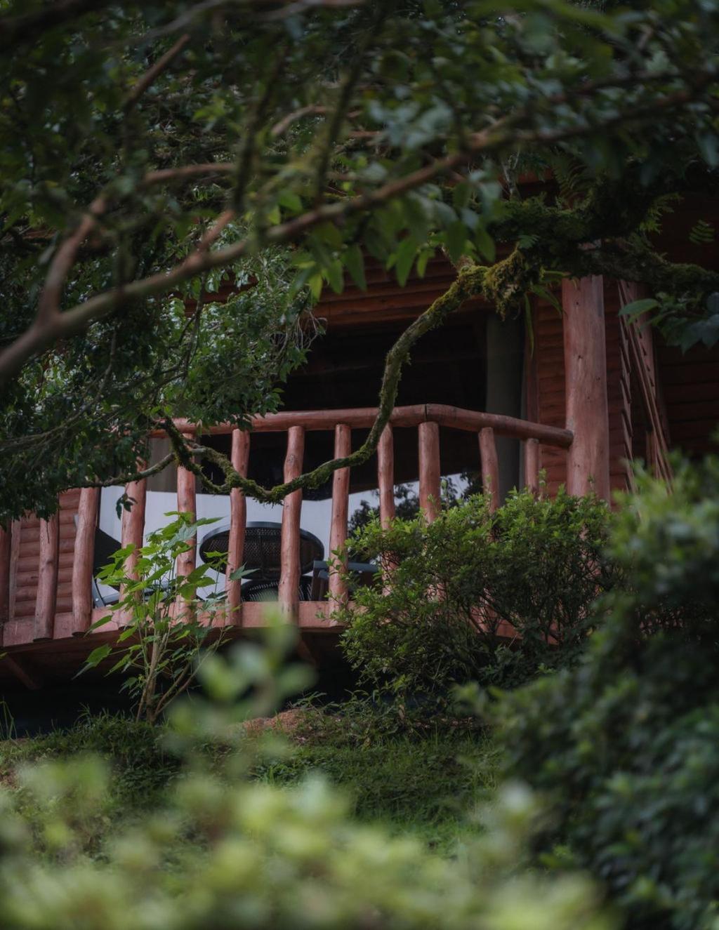 Cedrela Eco-Lodge & Restaurante Copey 외부 사진