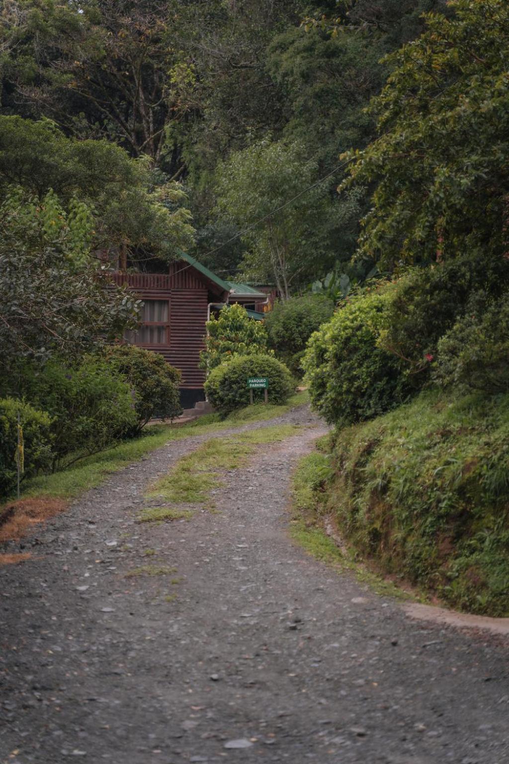 Cedrela Eco-Lodge & Restaurante Copey 외부 사진