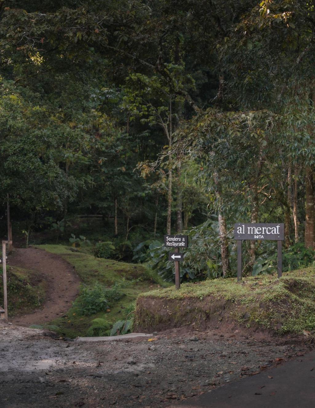 Cedrela Eco-Lodge & Restaurante Copey 외부 사진
