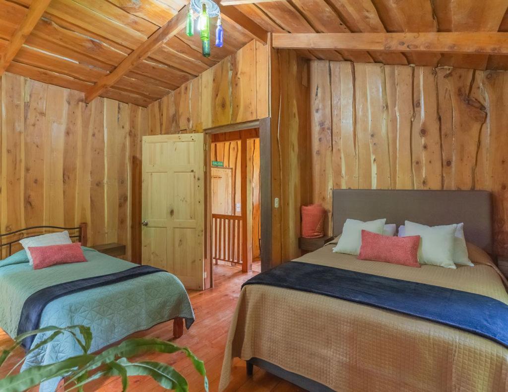 Cedrela Eco-Lodge & Restaurante Copey 외부 사진