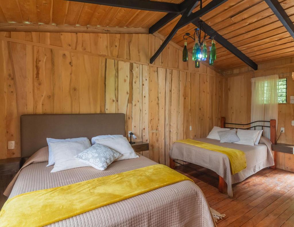 Cedrela Eco-Lodge & Restaurante Copey 외부 사진