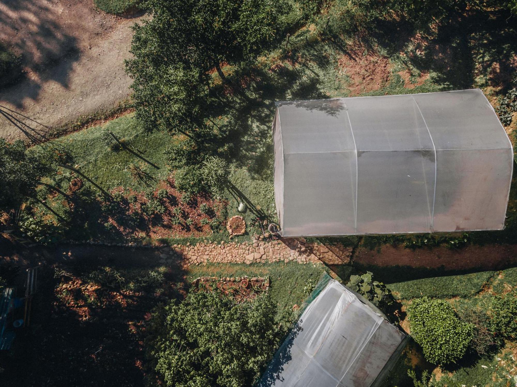 Cedrela Eco-Lodge & Restaurante Copey 외부 사진